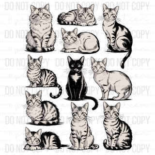 Cat Lady Decal