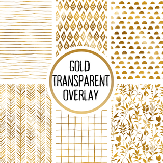 Gold Transparent Overlay Vinyl Bundle