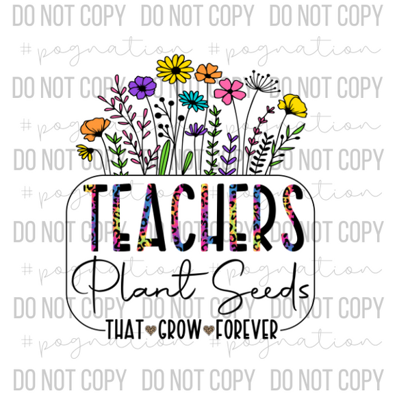 Teachers Plant Seeds Decal
