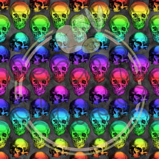 Rainbow Skulls Vinyl - 1221