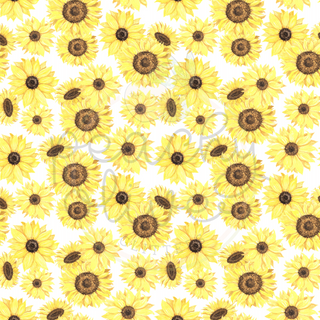 Sunflowers - 1128